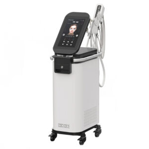 Perfectlaser EMS Face Machine W960A